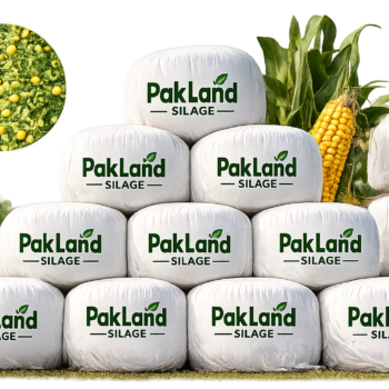 Pak Land Silage