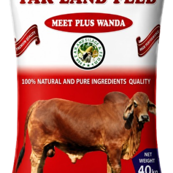Meat Plus Wanda Feed