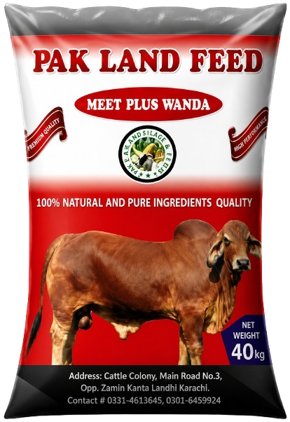 Meat Plus Wanda Feed